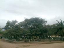 Parque Santa María del Real.jpg
