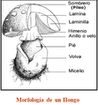 Miniatura de la versión del 11:39 27 ago 2024