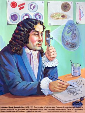 Antoni Van Leeuwenhoek Ecured