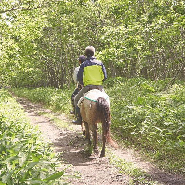 Archivo:Caballo-dosanko2.jpg