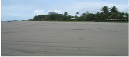 Playa El Cerique.png