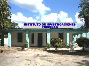 Entrada del IIP.jpg.jpg