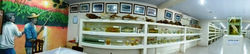 Iinterior-del-museo-icticola1.jpg