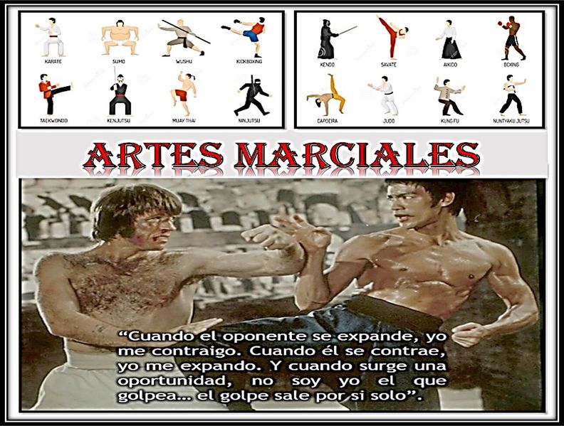 Archivo:Artesmarcialesnew.jpg
