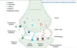 Antidepresivos tricíclicos.png