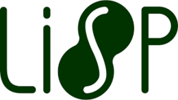 Resultado de imagen para lisp lenguaje de programacion