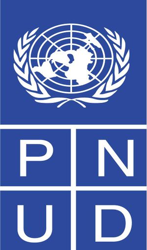 PNUD.jpeg