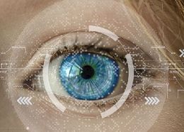 Biometría ocular.jpg