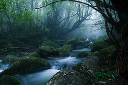 Isla-yakushima.jpg