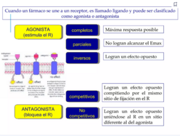 Agonistacompleto.PNG