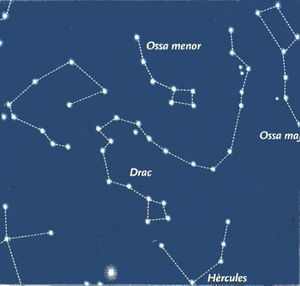 ConstelacionDragon.jpg