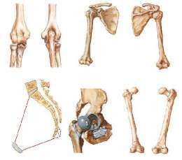 Ortopedia def.jpg