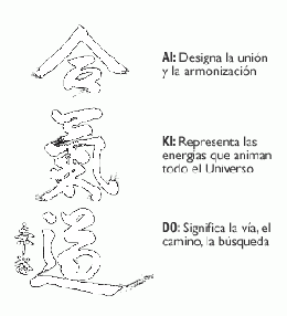 Aikido explica.gif