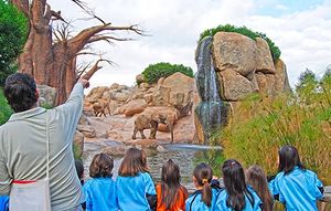 Bioparc-fundacion-conservacion-01.jpg