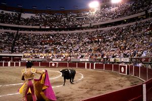 Corridadetoros.jpg