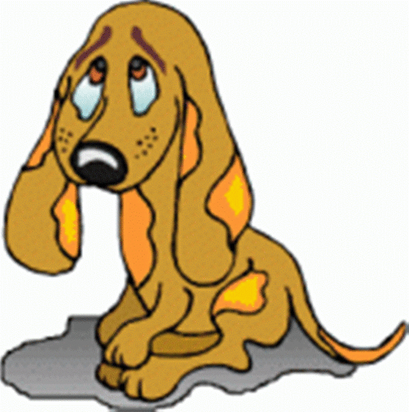 Archivo:Ok perro pesimista.gif
