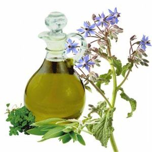 Aceite-de-borraja (Small).jpg