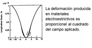Elcción.jpg