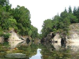 Río Huequecura1.JPG