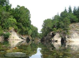 Río Huequecura1.JPG