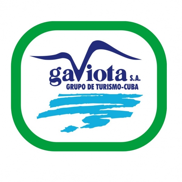 Archivo:Logo Gaviota.jpeg