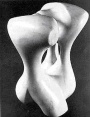 Recontre de papillons II