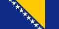 Bandera de Bosnia y Herzegovina.jpg