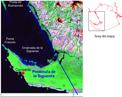 Imágen satelital de la península de la Siguanea, Isla de Juventud..png