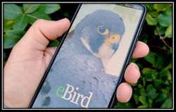 AppkEbird.jpg
