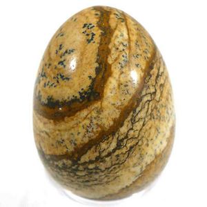 C37158q.jpg