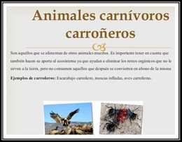 Loscarroñeros.jpg