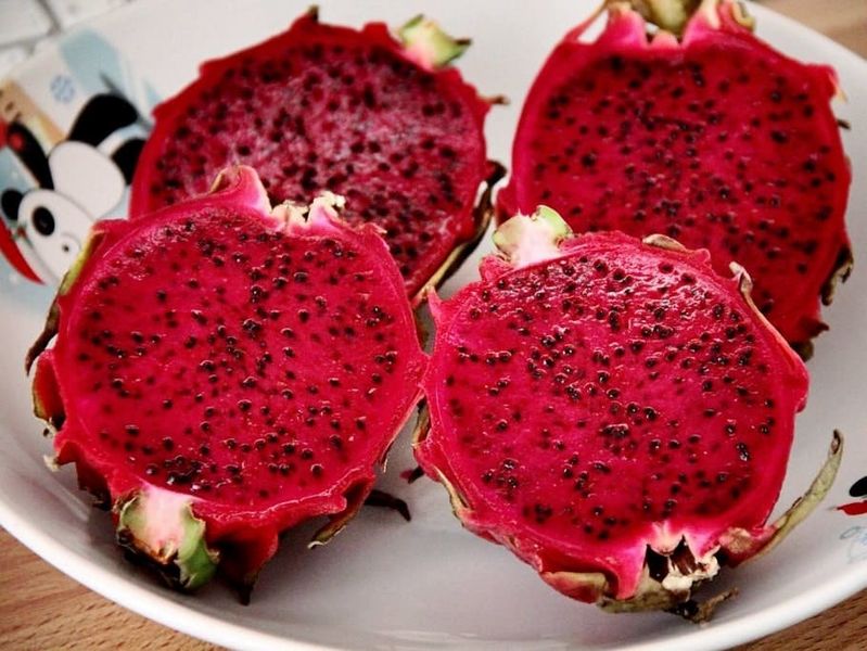 Archivo:Red Dragon Fruit.jpg