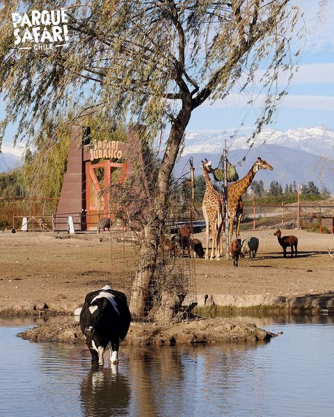 Archivo:Safari Jurasico, Rancagua, Chile.jpg
