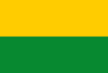 Bandera de Pauna