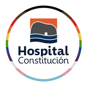 Logo Hosp. Constitución.jpg