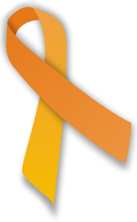 Orange ribbon.svg.png