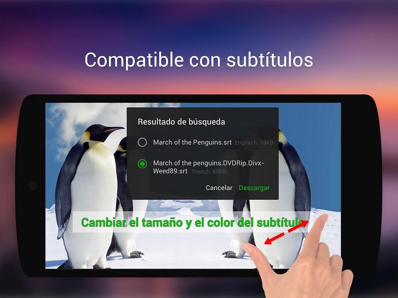 Archivo:XPlayer Subtítulos.jpg