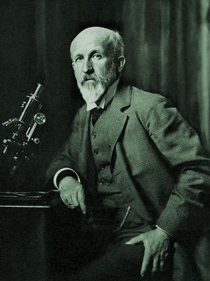 Oscar Hertwig.jpg
