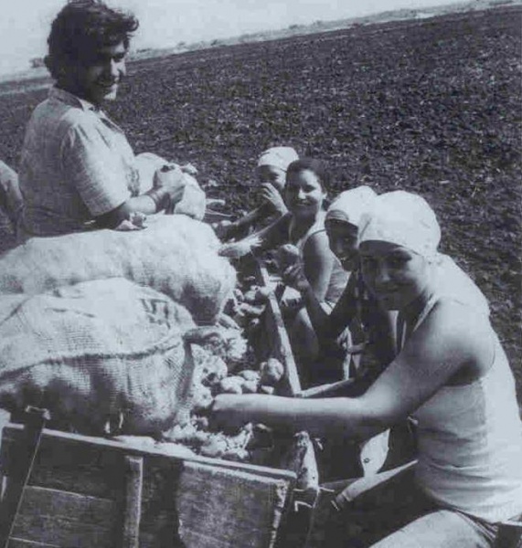 Archivo:Trabajo agrícola.JPG