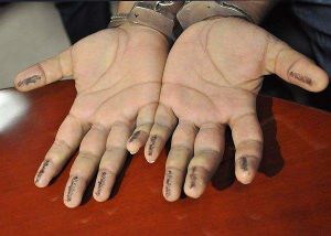 48340.jpg