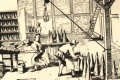 Miniatura de la versión del 07:44 21 jul 2011