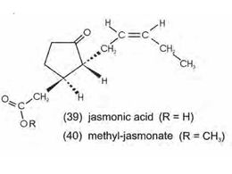 Formula estructural Acido jasmonico.jpg