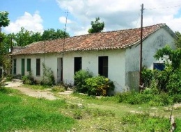 Tejarzaza.JPG
