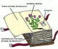 Miniatura de la versión del 13:20 22 abr 2013