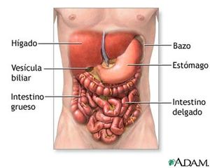 Bazo 9 (Medium).jpg