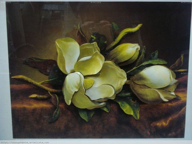 Archivo:Crovetto.jpg