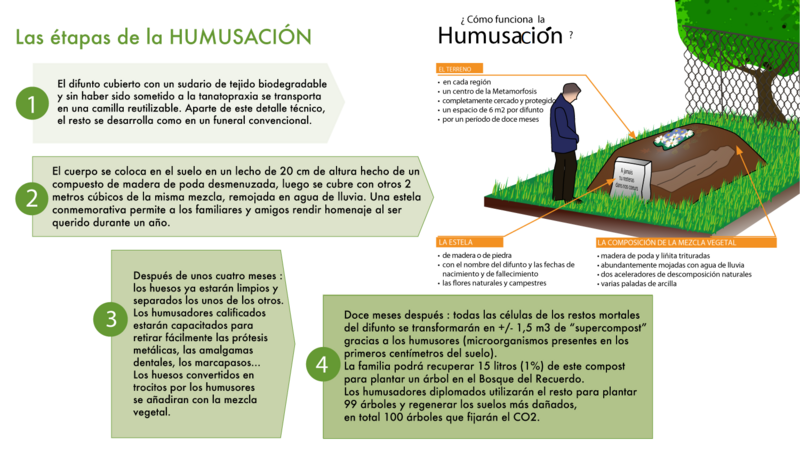 Archivo:Etapas de La Humusación.png