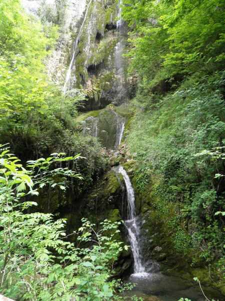 Archivo:Parque Natural de redes.jpg