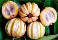 Garcinia.jpg