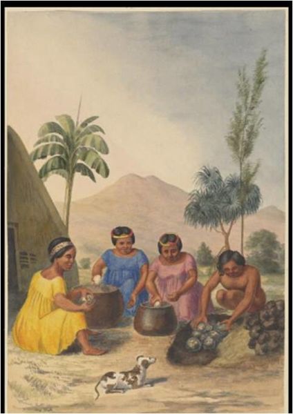 Archivo:Limpiezasawkins.jpg